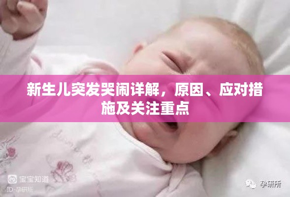 新生儿突发哭闹详解，原因、应对措施及关注重点