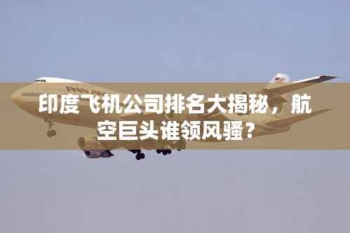 印度飞机公司排名大揭秘,航空巨头谁领风骚?