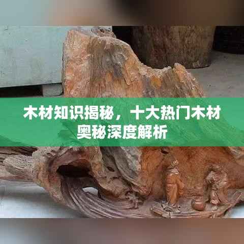 木材知识揭秘，十大热门木材奥秘深度解析