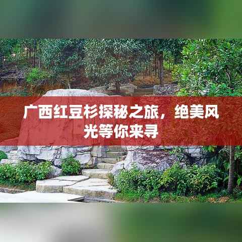 百不得一 第2页