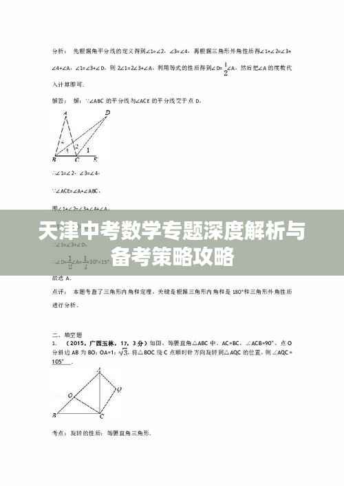 天津中考数学专题深度解析与备考策略攻略