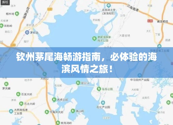 钦州茅尾海畅游指南，必体验的海滨风情之旅！