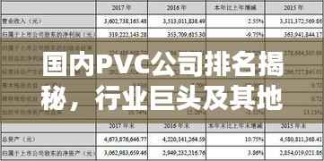 国内PVC公司排名揭秘，行业巨头及其地位概览